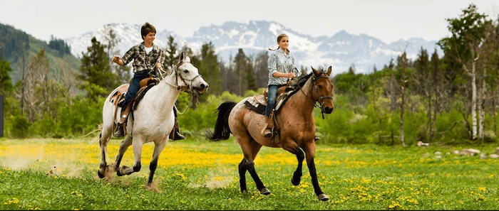 Confident plus-size woman riding Barnsley a horse through a field with a smile on her face.